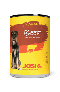 Josi Dog Beef